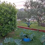 Carija 3*